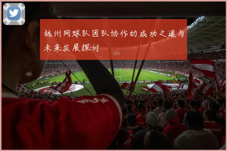 杭州网球队团队协作的成功之道与未来发展探讨