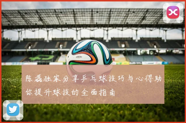 陈磊独家分享乒乓球技巧与心得助你提升球技的全面指南
